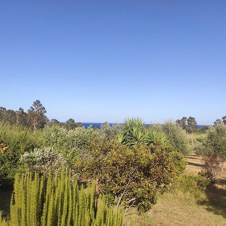 Sa Teria Village - Appartamenti - Tertenia Luaran gambar
