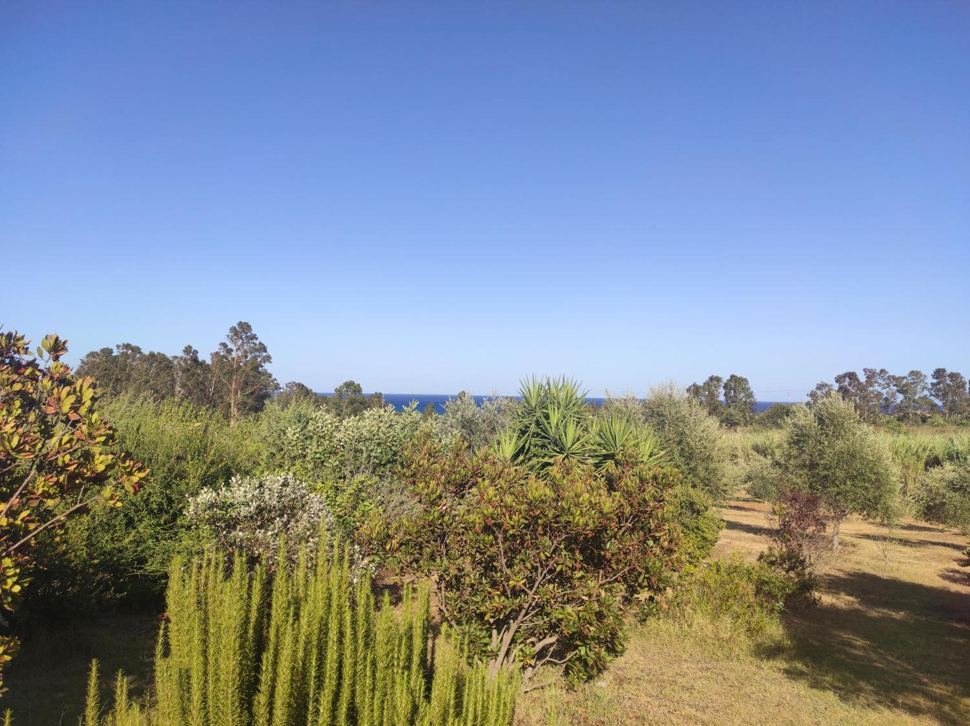 Sa Teria Village - Appartamenti - Tertenia Luaran gambar
